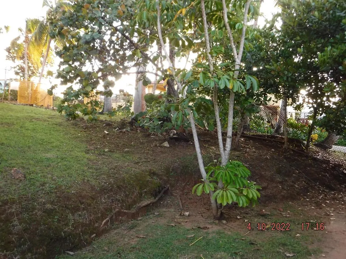The Yellow House: Fully Equipped, Spectacular Beach View Villa Manati