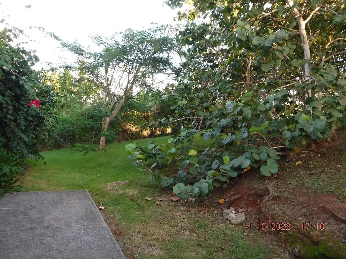 Casa de Férias The Yellow House: Fully Equipped, Spectacular Beach View Vila Manati Porto Rico