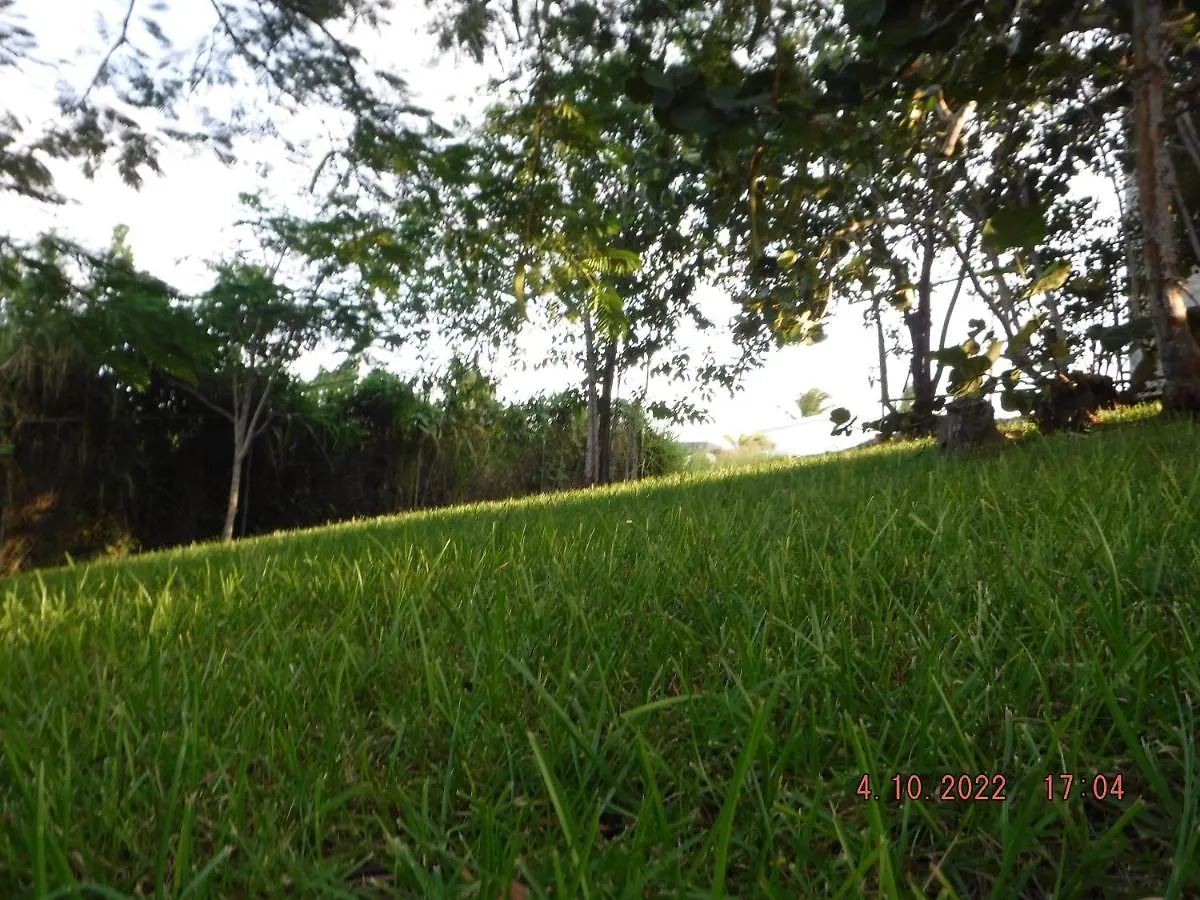The Yellow House: Fully Equipped, Spectacular Beach View Vila Manati