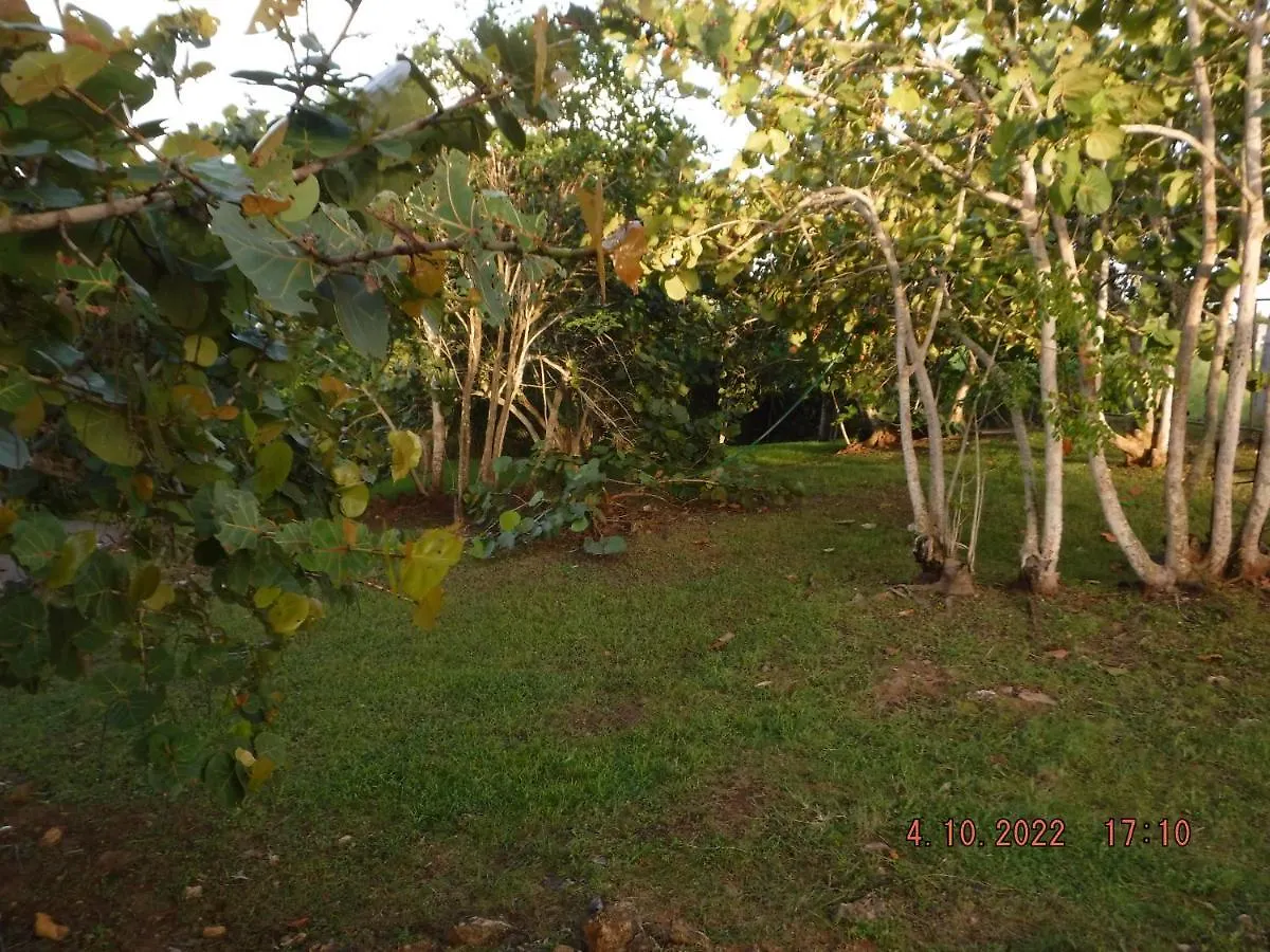 Casa de Férias The Yellow House: Fully Equipped, Spectacular Beach View Vila Manati