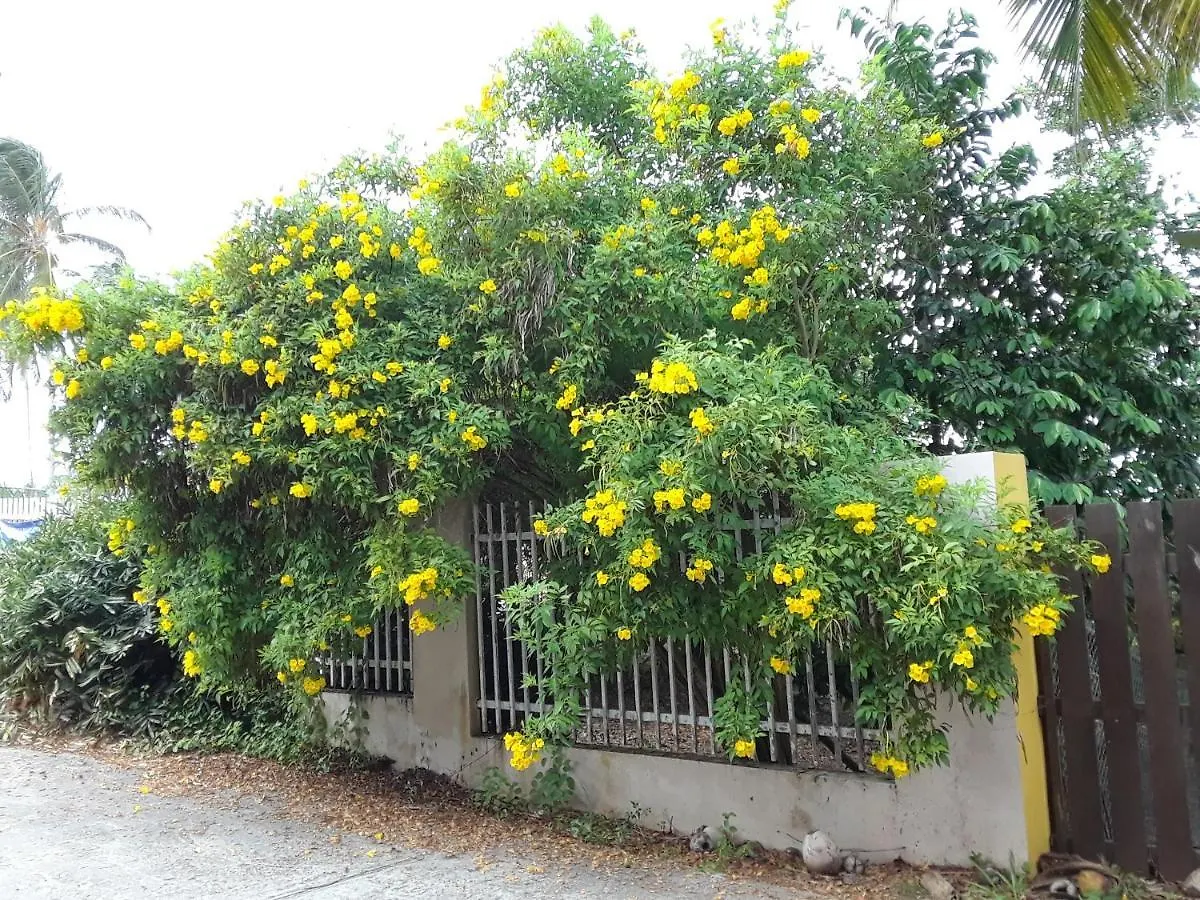 The Yellow House: Fully Equipped, Spectacular Beach View Vila Manati Casa de Férias