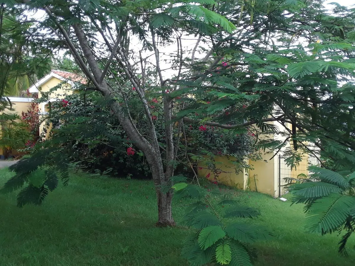 The Yellow House: Fully Equipped, Spectacular Beach View Villa Manati Holiday home